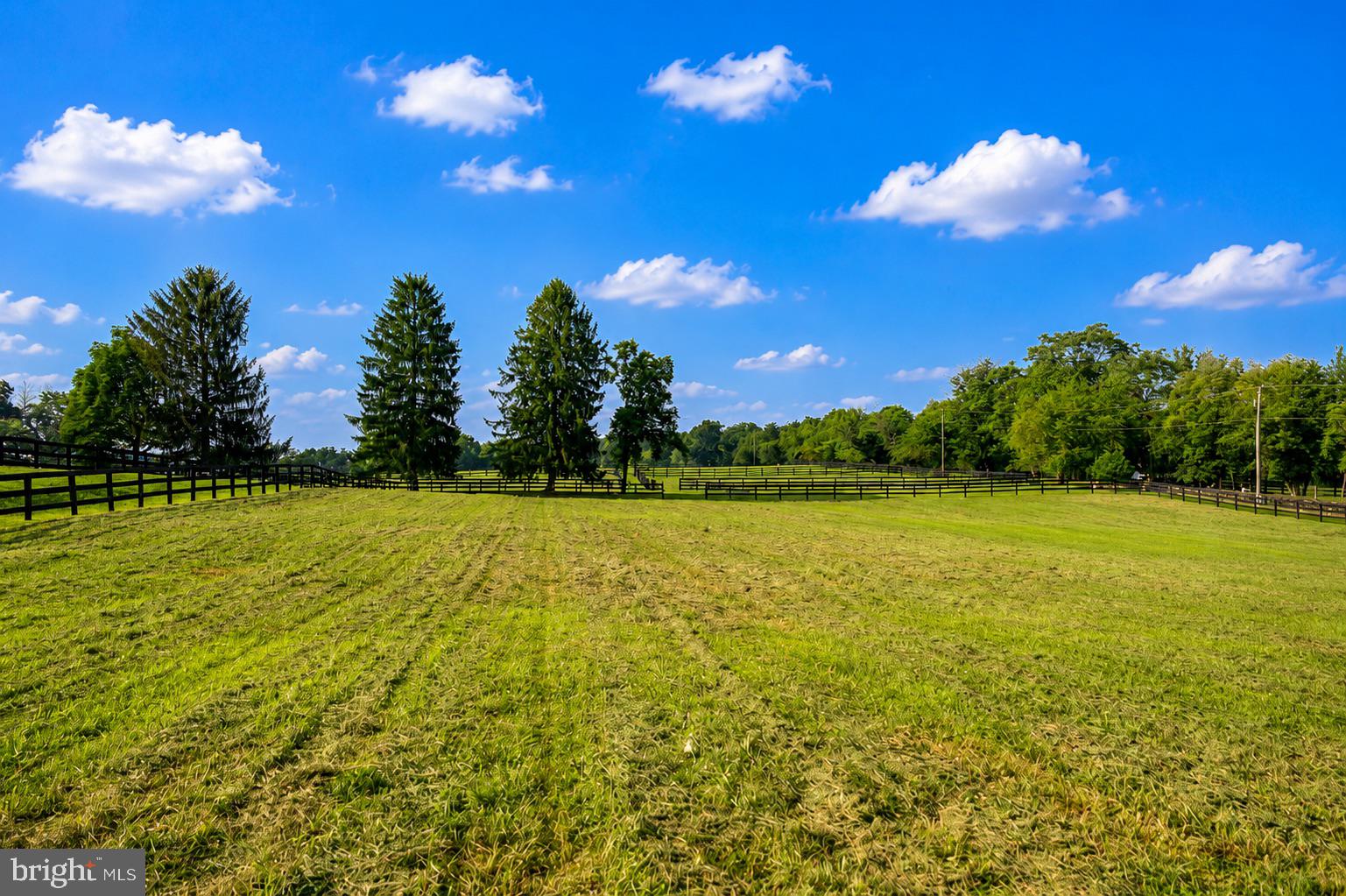 20341 Unison Road Round Hill, VA 20141 - Photo 40 of 62 Gallery Image 40