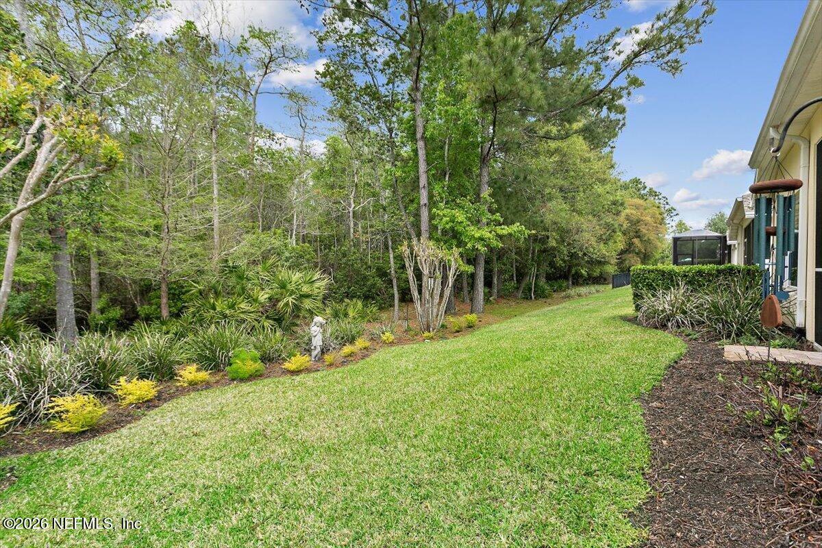 9092 Sweet Tree Trail Jacksonville, FL 32256 - Photo 20 of 31 Preserve Area in Rear