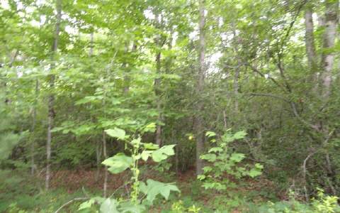 1 Settlement Road Young Harris, GA 30582 - Photo 3 of 4 Additional View