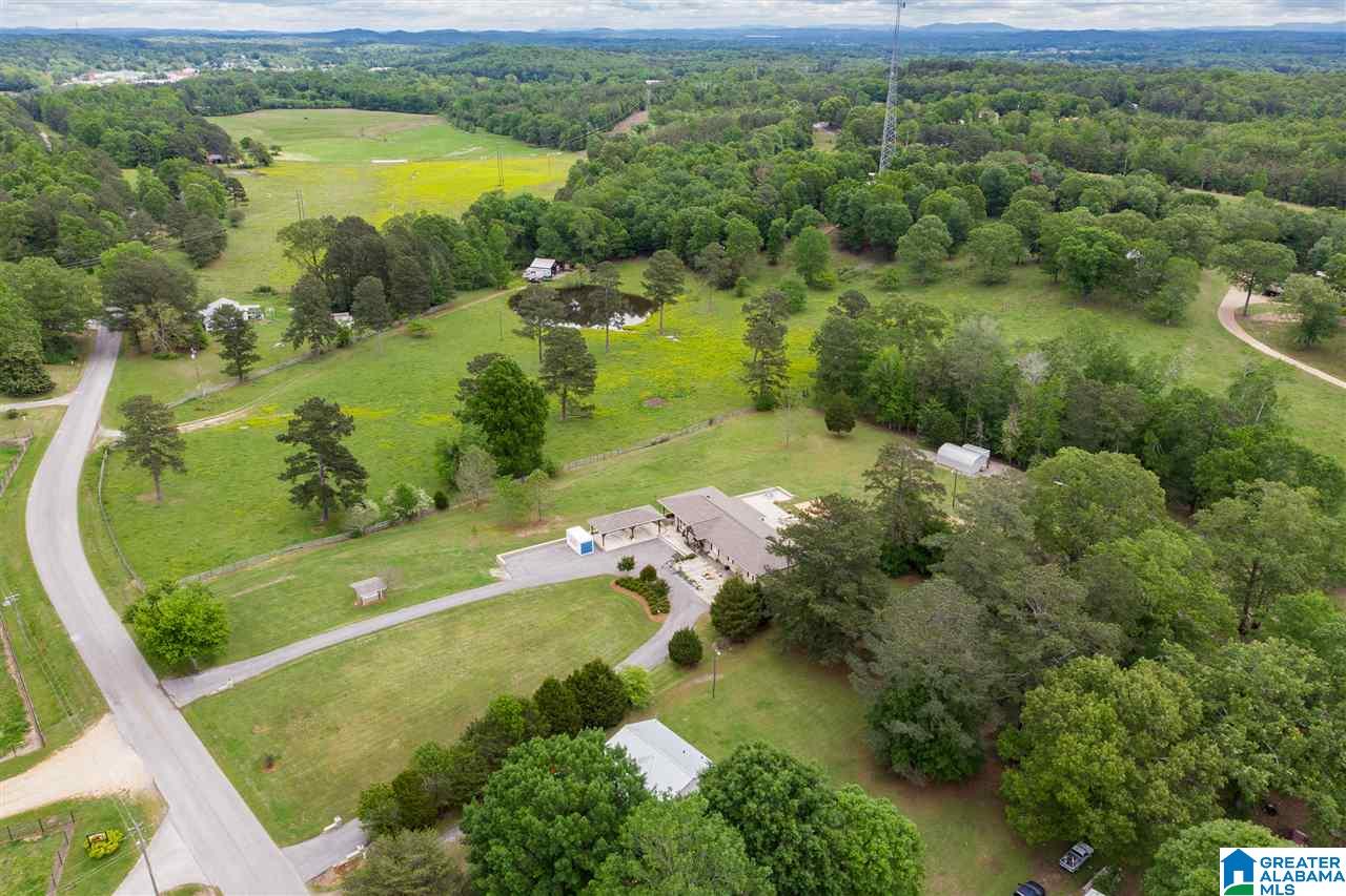 7770 Dry Creek Road Pell City, AL 35128 - Photo 49 of 49