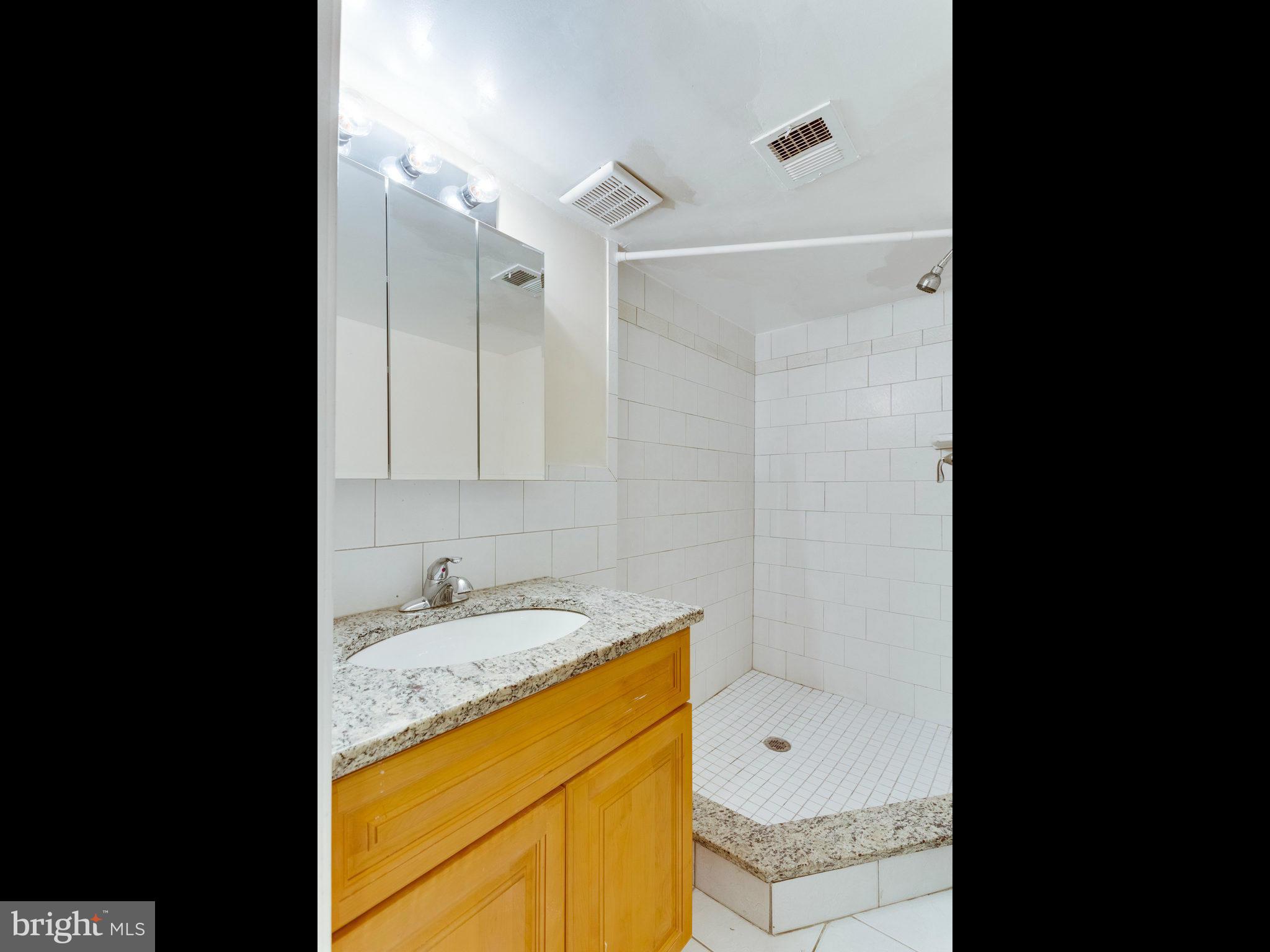 7900 Steve Drive District Heights, MD 20747 - Photo 18 of 23 Bath (Master)