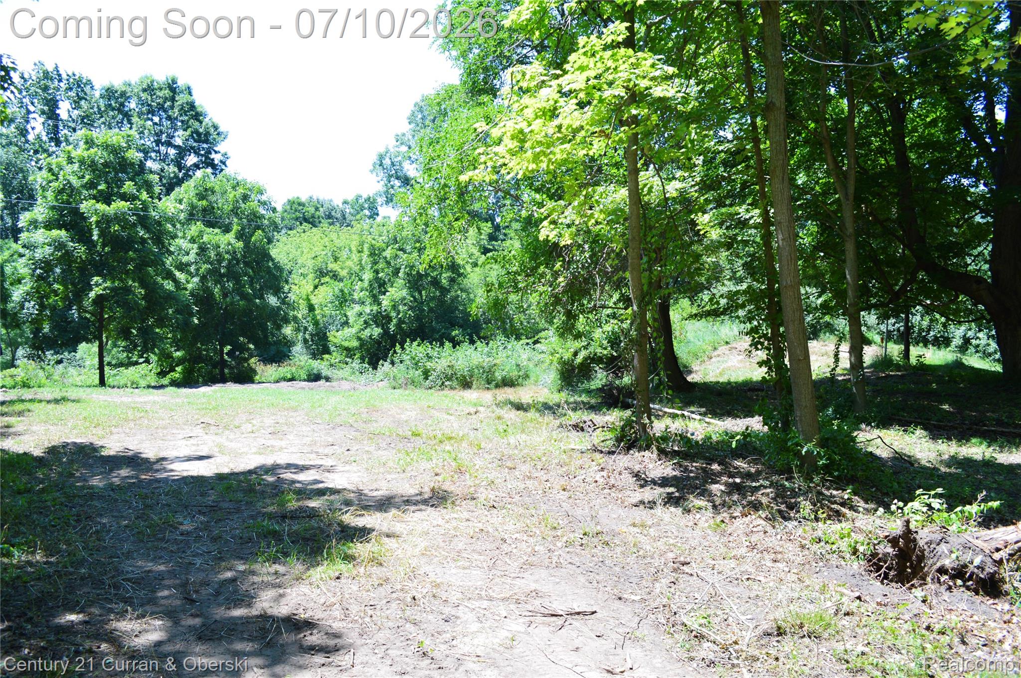 13505 Island Lake Road Chelsea, MI 48118 - Photo 16 of 23 cleared land view
