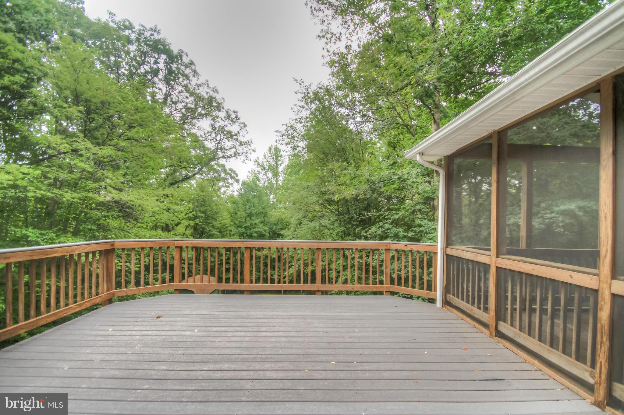 156 MacGregor Ridge Road Stafford, VA 22554 - Photo 5 of 28 Exterior (Rear)