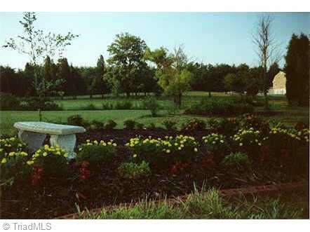 1022 Skeet Club Road High Point, NC 27265 - Photo 3 of 3 Other. Flowers in backyard before townhomes were built.