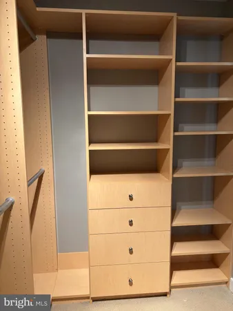 a view of walk in closet with empty racks