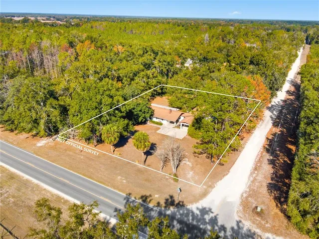 an aerial view of a house with swimming pool and large trees