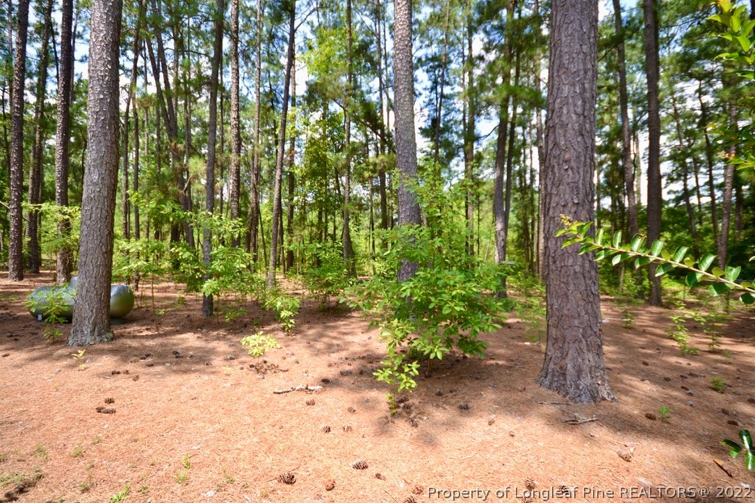 631 Ellis Road Lumber Bridge, NC 28357 - Photo 45 of 50 Gallery Image 45