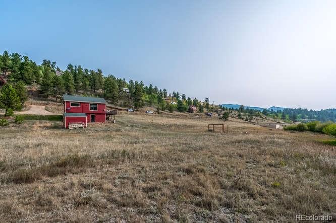 202 Wilkins Road Bailey, CO 80421 - Photo 38 of 40 a view of a field with trees