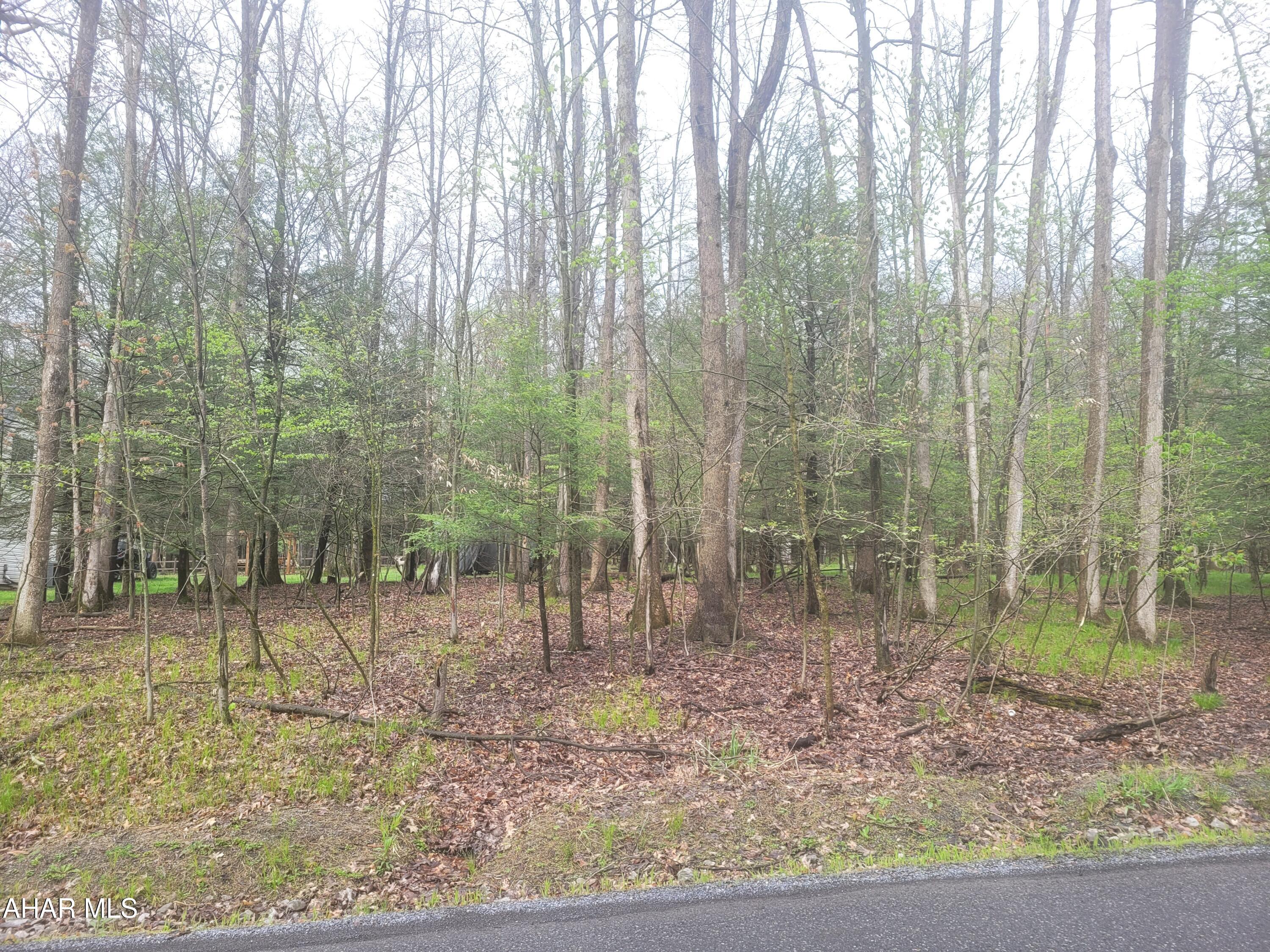 355 Troxell Spring Road Flinton, PA 16640 - Photo 2 of 3