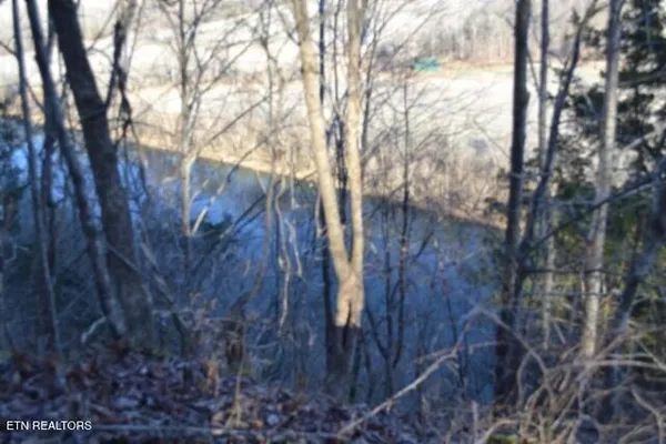 $119,900 | 5.52-ac Cabin Hl Road, Celina, TN 38551