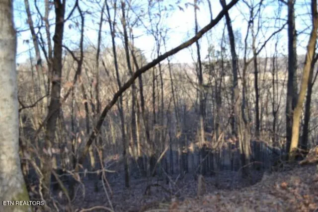 $119,900 | 5.52-ac Cabin Hl Road, Celina, TN 38551