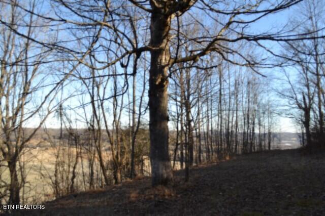 5.52-ac Cabin Hl Road Celina, TN 38551 - Photo 13 of 37 DSC_0015