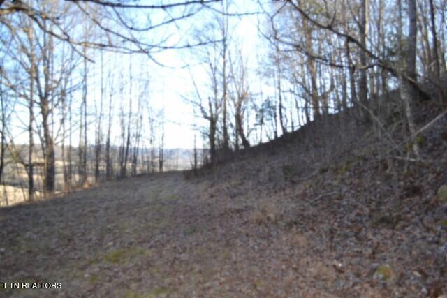 5.52-ac Cabin Hl Road Celina, TN 38551 - Photo 14 of 37 DSC_0016