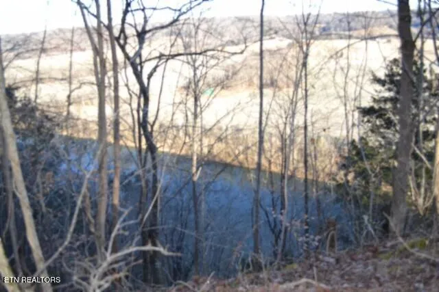 $119,900 | 5.52-ac Cabin Hl Road, Celina, TN 38551