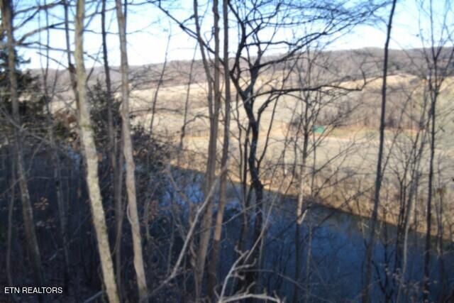 5.52-ac Cabin Hl Road Celina, TN 38551 - Photo 16 of 37 DSC_0019