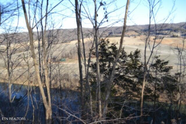 5.52-ac Cabin Hl Road Celina, TN 38551 - Photo 20 of 37 DSC_0024