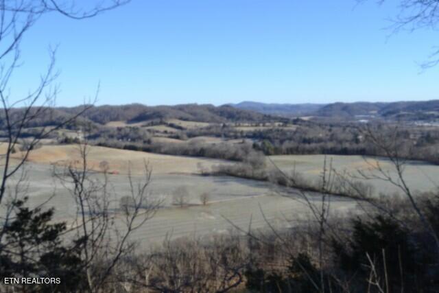 5.52-ac Cabin Hl Road Celina, TN 38551 - Photo 26 of 37 DSC_0033