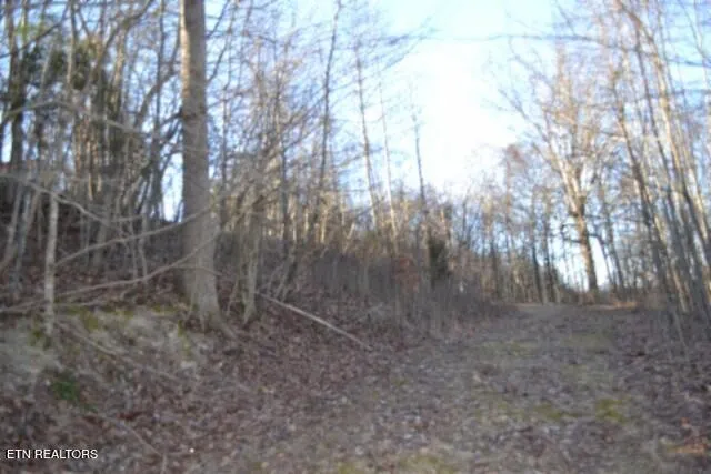 $119,900 | 5.52-ac Cabin Hl Road, Celina, TN 38551