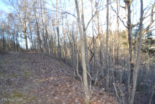 5.52-ac Cabin Hl Road Celina, TN 38551 - Photo 31 of 37 DSC_0039