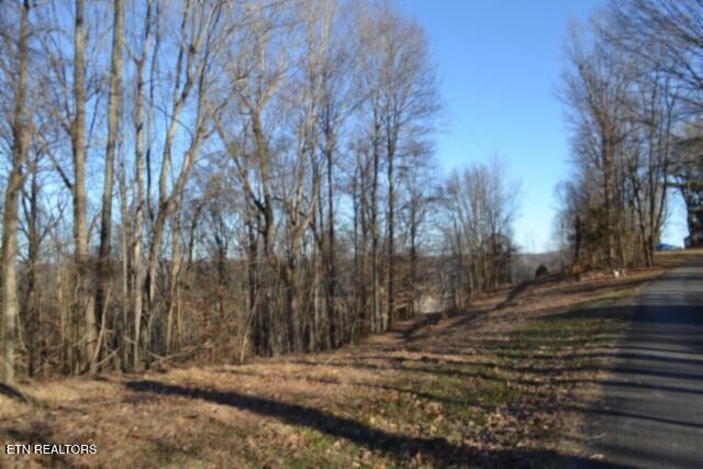 5.52-ac Cabin Hl Road Celina, TN 38551 - Photo 4 of 37 DSC_0003