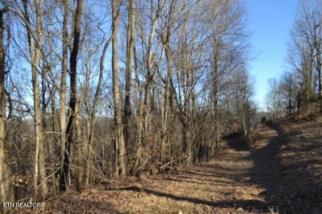 $119,900 | 5.52-ac Cabin Hl Road, Celina, TN 38551