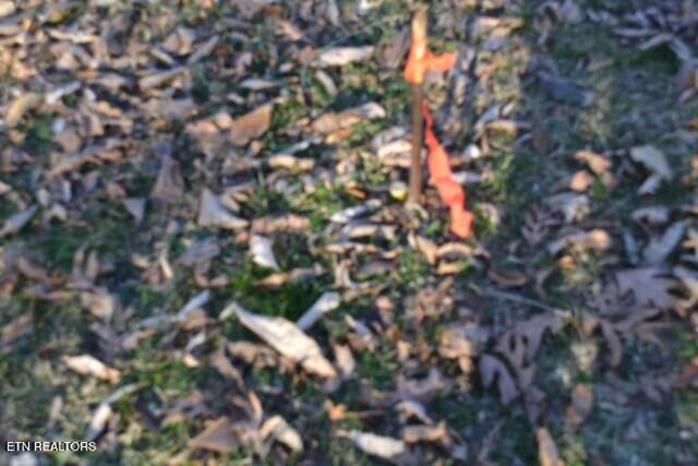 5.52-ac Cabin Hl Road Celina, TN 38551 - Photo 6 of 37 DSC_0006