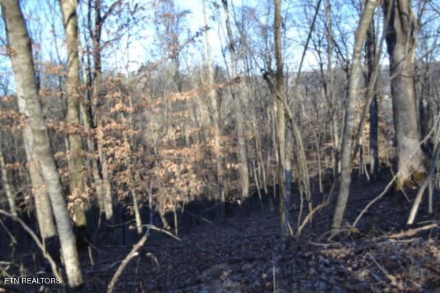 5.52-ac Cabin Hl Road Celina, TN 38551 - Photo 7 of 37 DSC_0007