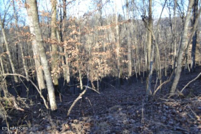 5.52-ac Cabin Hl Road Celina, TN 38551 - Photo 9 of 37 DSC_0009