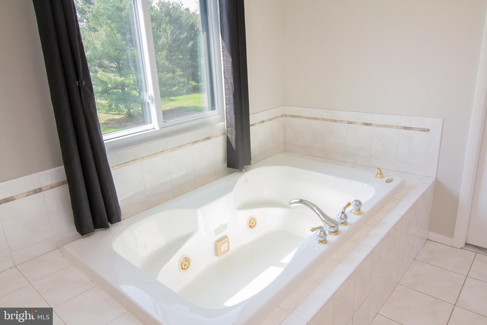 308 Delight Meadows Road Reisterstown, MD 21136 - Photo 21 of 42 Jacuzzi Whirlpool Tub