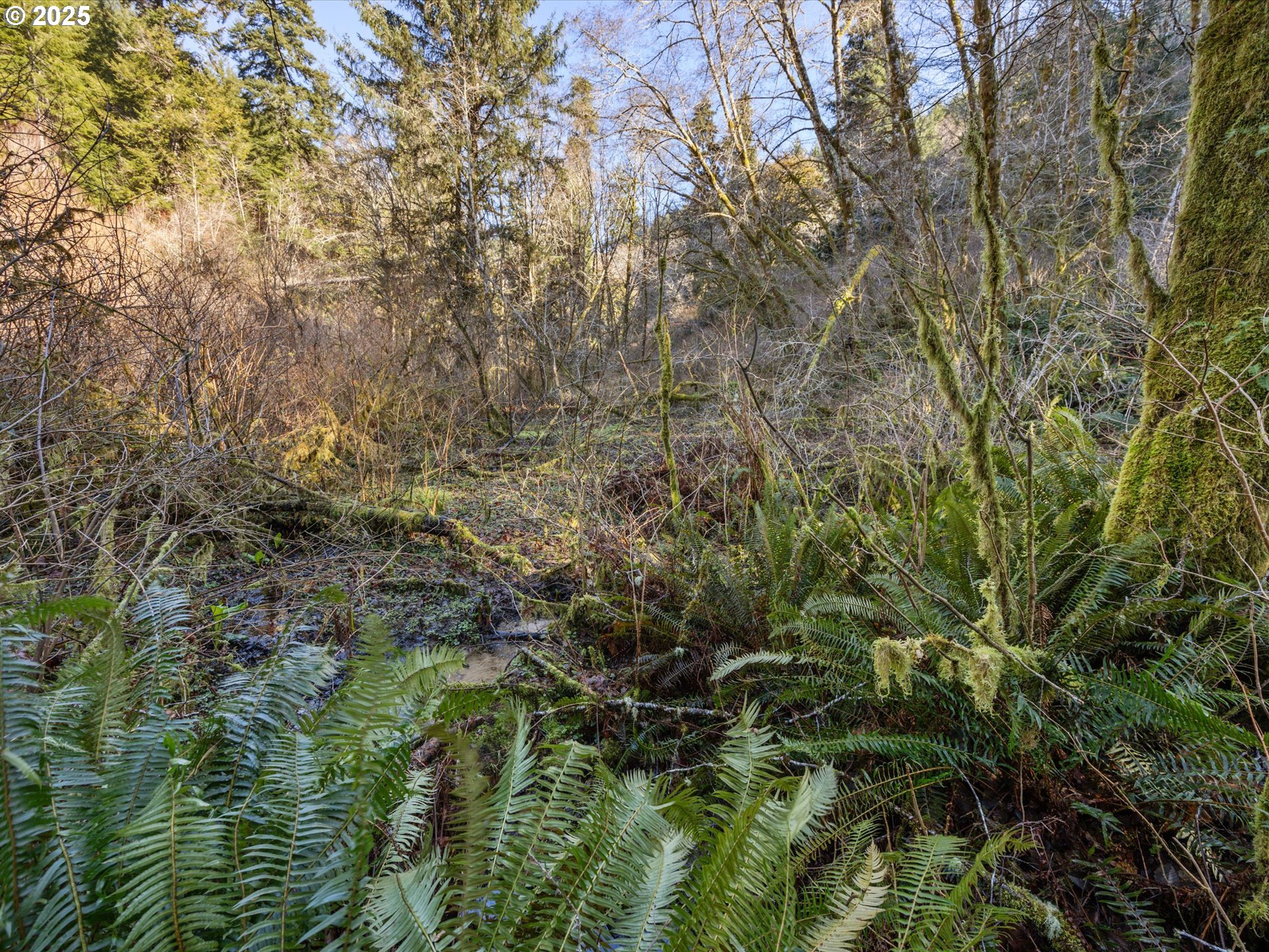 0 North Lake Road Lakeside, OR 97449 - Photo 12 of 16 Gallery Image 12