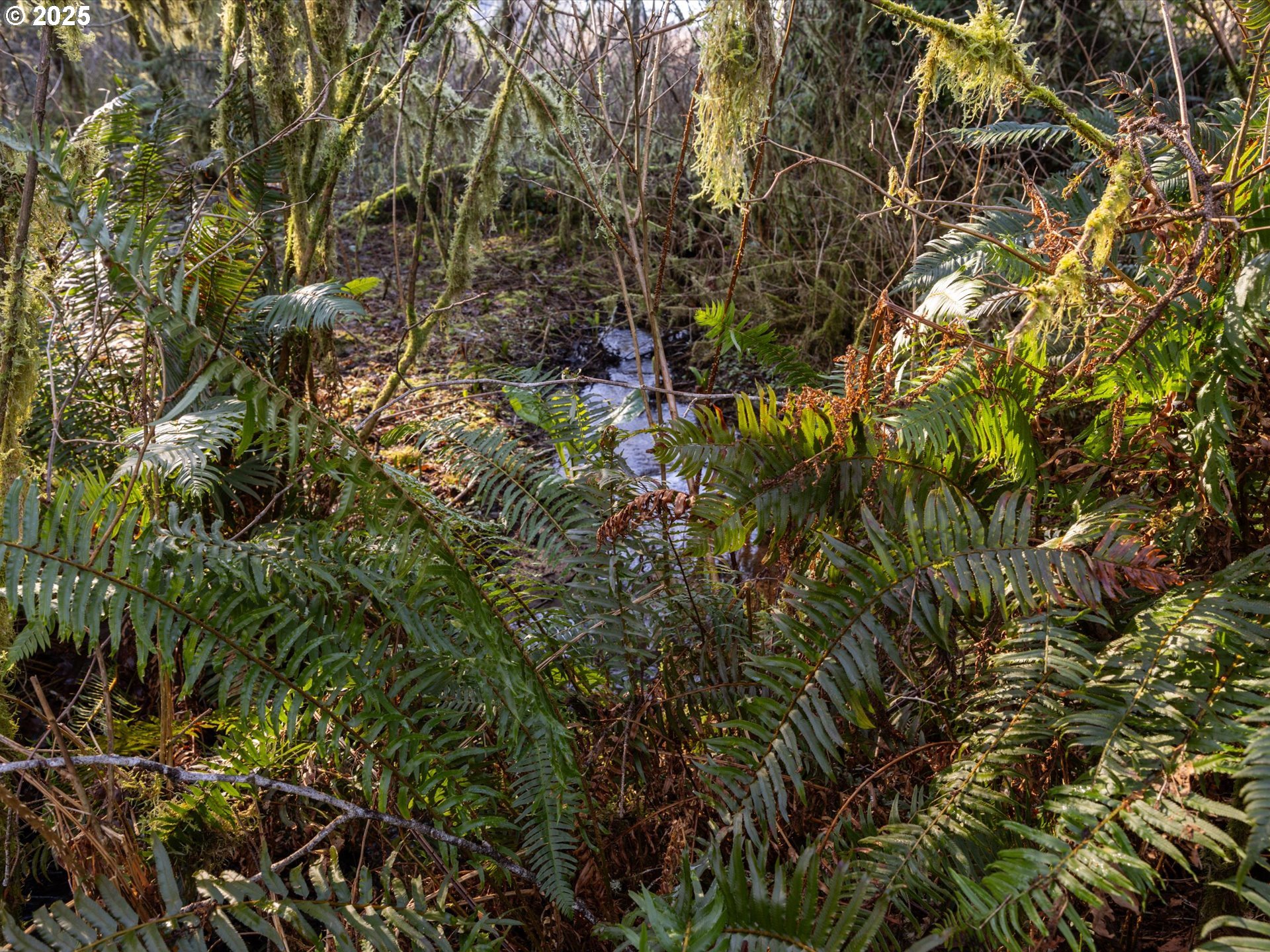 0 North Lake Road Lakeside, OR 97449 - Photo 13 of 16 Gallery Image 13