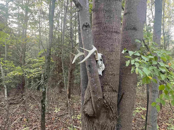 $399,000 | 1050 W Road, French Lick, IN 47432