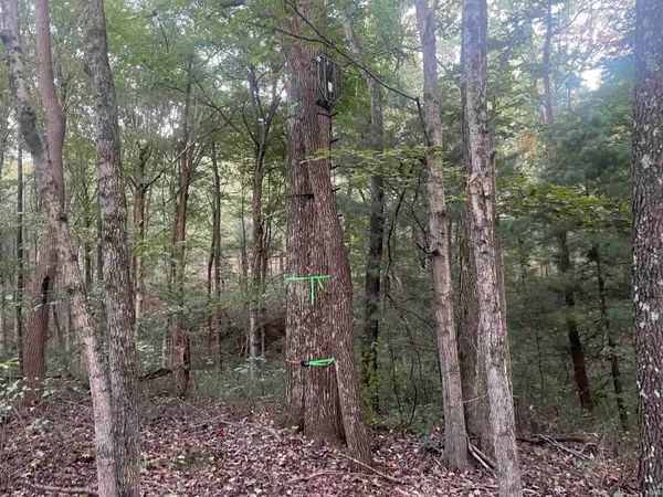 $399,000 | 1050 W Road, French Lick, IN 47432