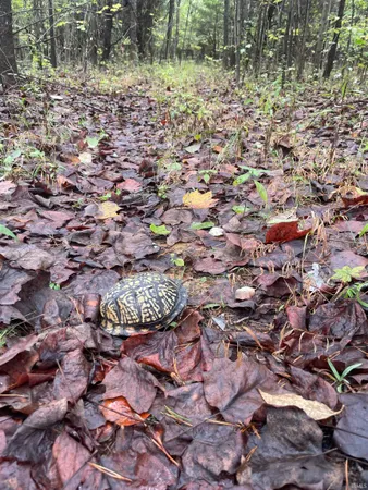 $399,000 | 1050 W Road, French Lick, IN 47432