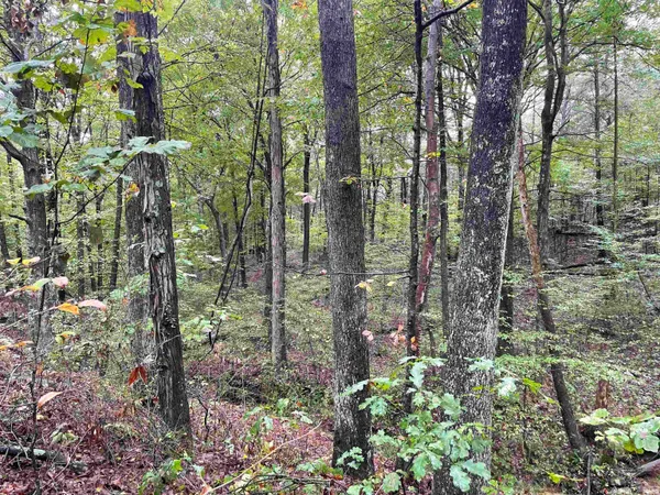 $399,000 | 1050 W Road, French Lick, IN 47432