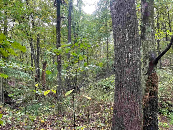 $399,000 | 1050 W Road, French Lick, IN 47432