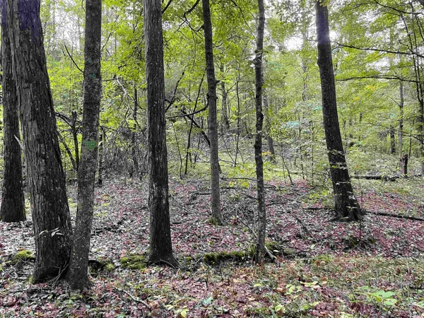 $399,000 | 1050 W Road, French Lick, IN 47432