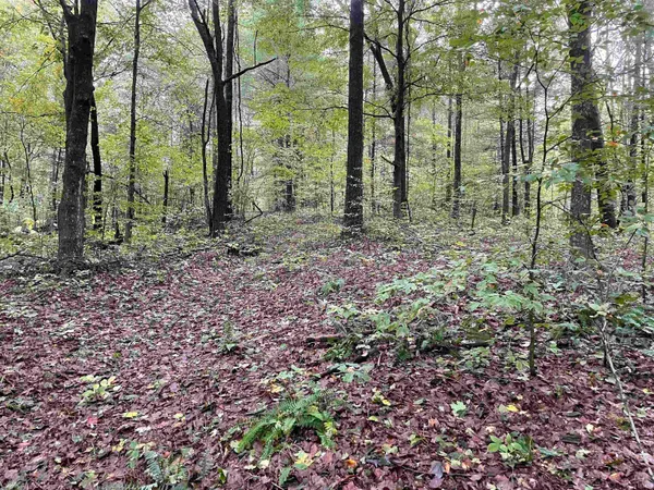 $399,000 | 1050 W Road, French Lick, IN 47432