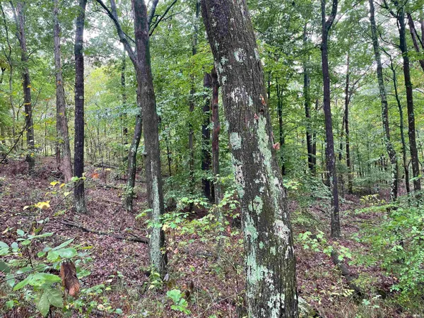 $399,000 | 1050 W Road, French Lick, IN 47432