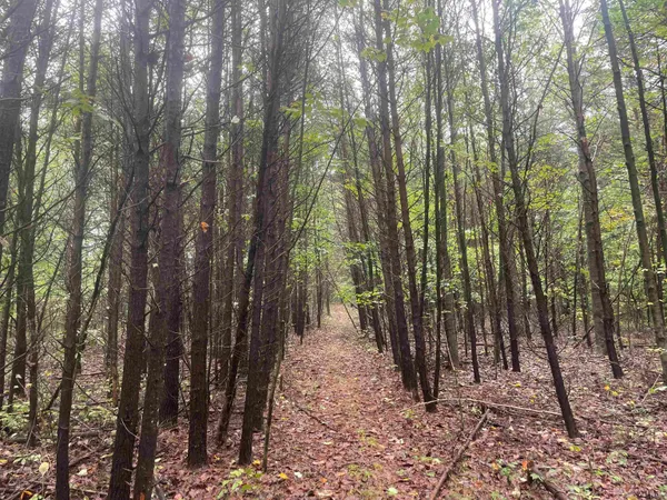 $399,000 | 1050 W Road, French Lick, IN 47432