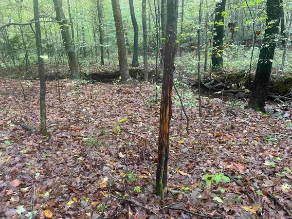 $399,000 | 1050 W Road, French Lick, IN 47432