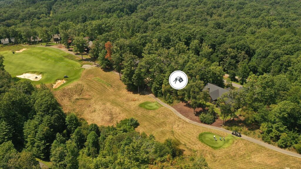 Lot 93 North Fallen Leaf Road Mineral Bluff, GA 30559 - Photo 5 of 15 Gallery Image 5