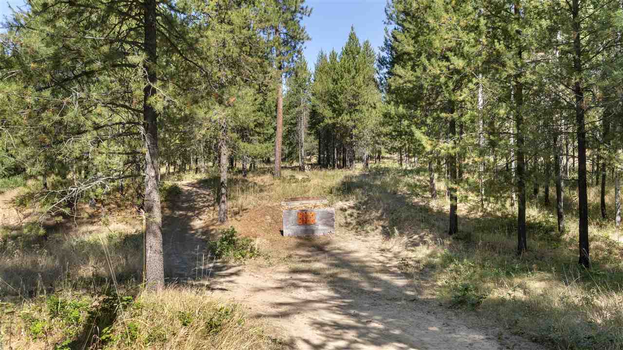 212 West Chattaroy Road Colbert, WA 99005 - Photo 29 of 31