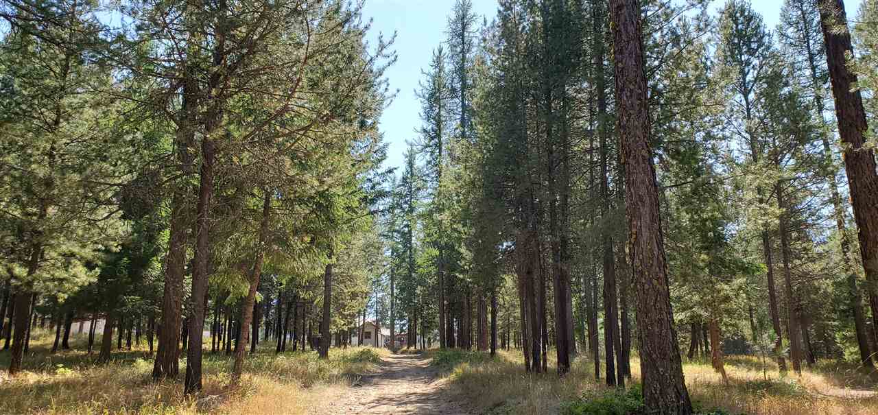 212 West Chattaroy Road Colbert, WA 99005 - Photo 31 of 31