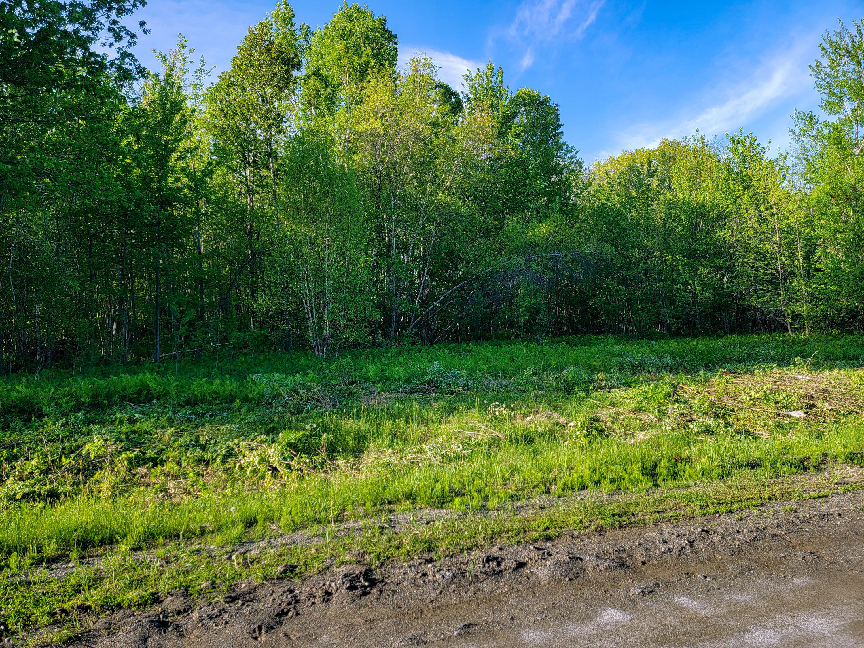 Lot 4 Newell Court Unity, ME 04988 - Photo 12 of 17 Lot 4 Newell Court (10 of 17)