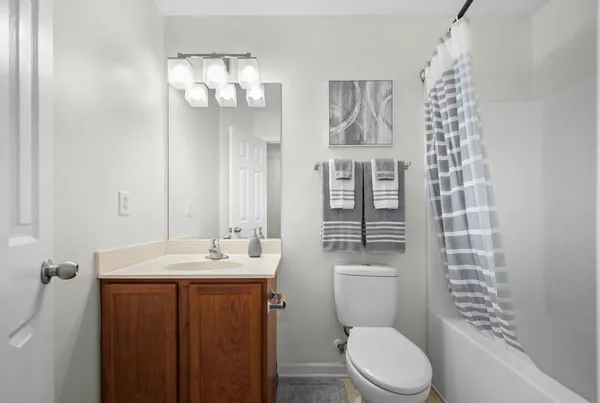 a bathroom with a sink a toilet a mirror and shower curtain