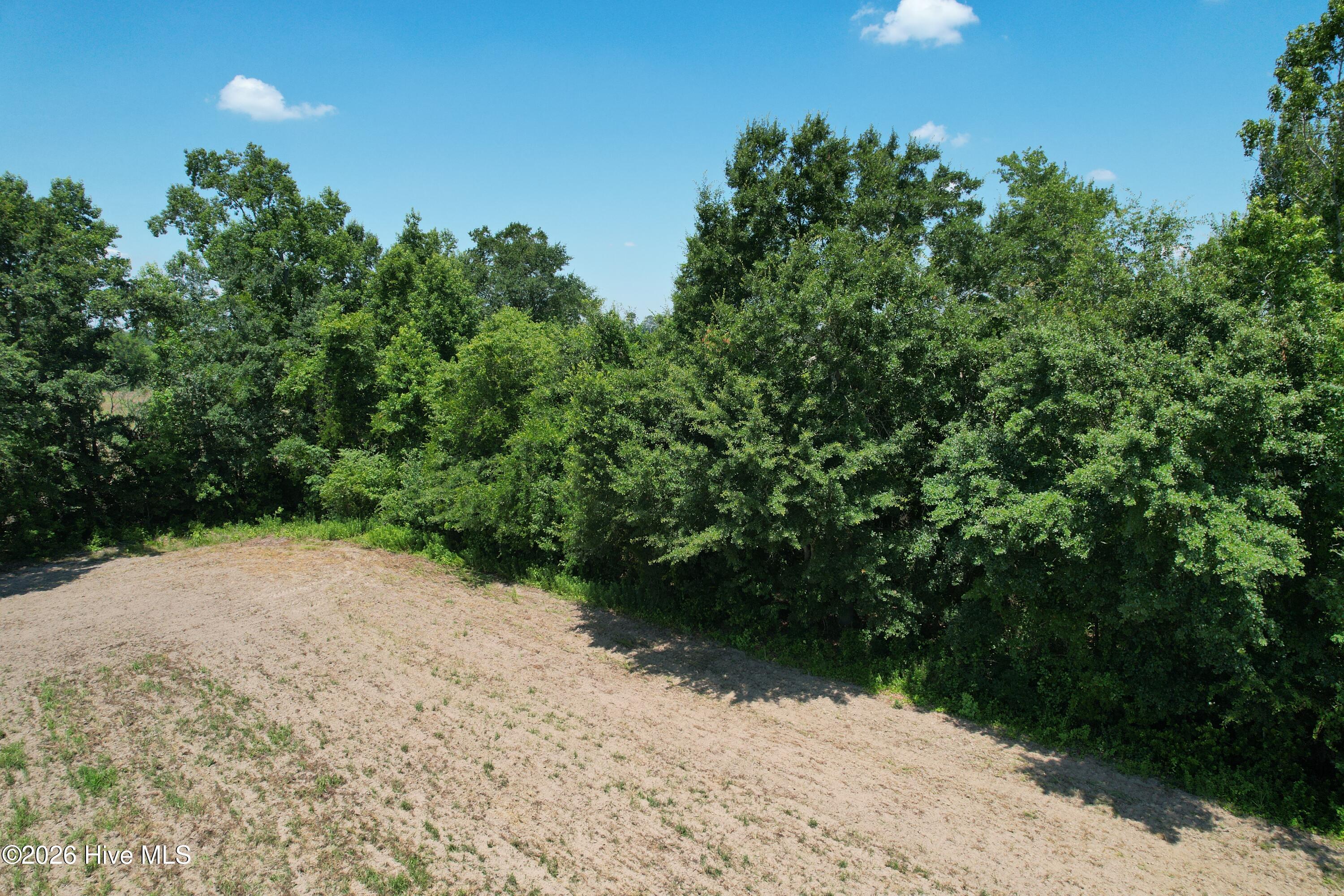 0 Booker Lennon Road Evergreen, NC 28438 - Photo 19 of 28