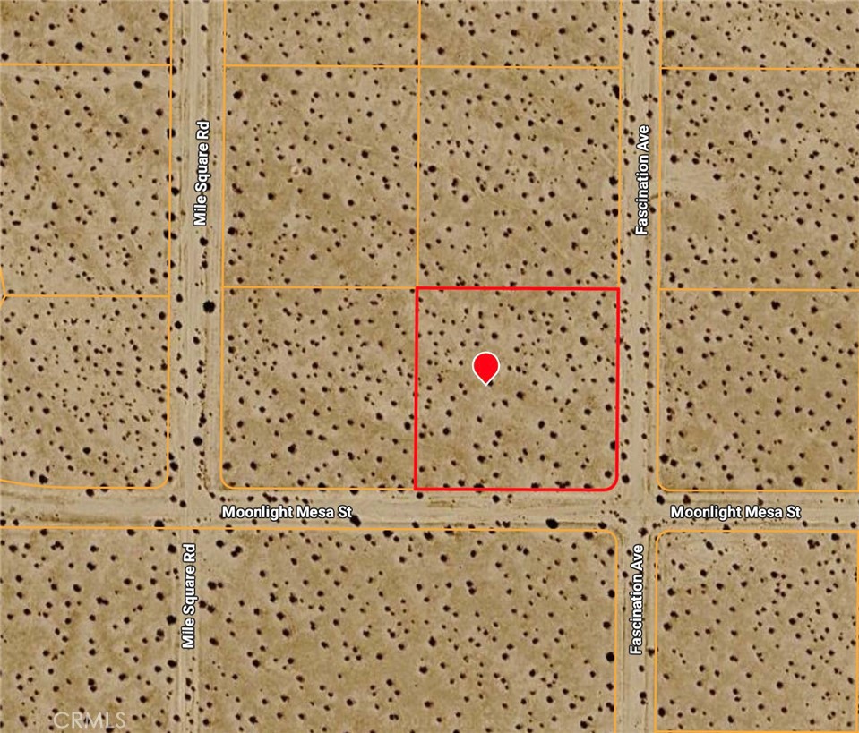54 Fascination Avenue Joshua Tree, CA 92252 - Photo 3 of 4 Gallery Image 3