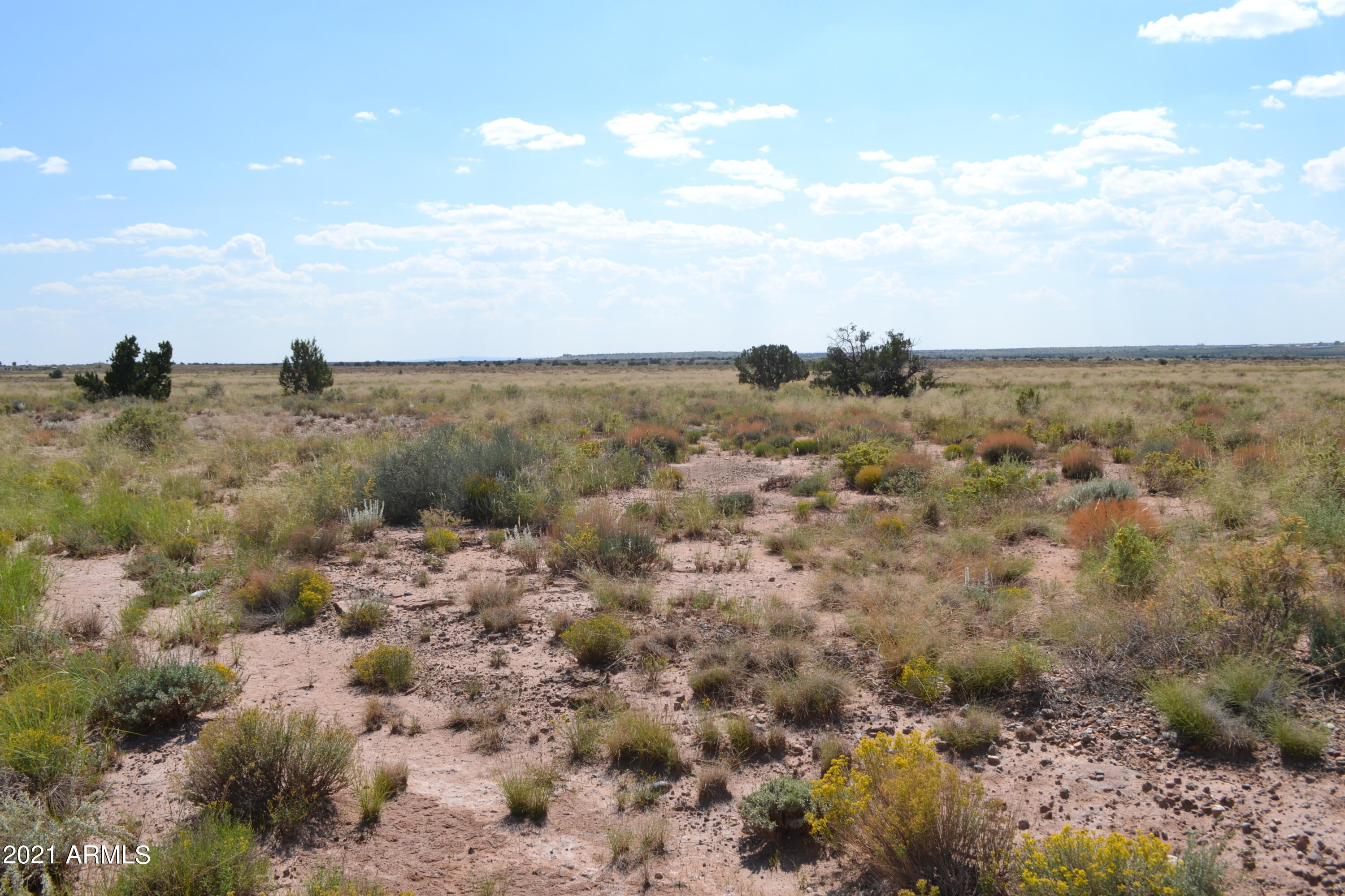 564 Old Woodruff Road, Unit 564 Snowflake, AZ 85937 - Photo 2 of 8 Old Woodruff 002