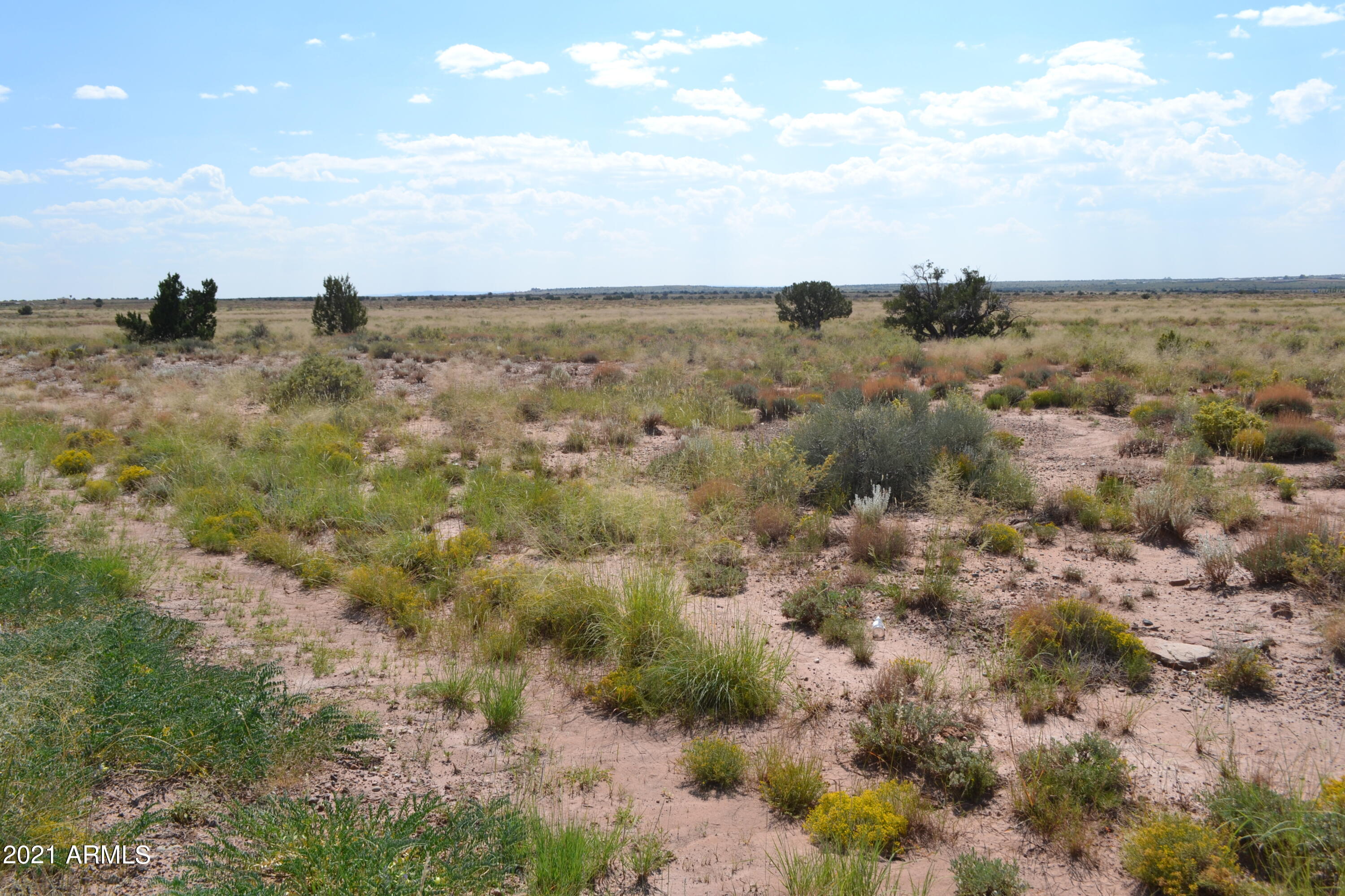 564 Old Woodruff Road, Unit 564 Snowflake, AZ 85937 - Photo 4 of 8 Old Woodruff 004